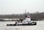 Houma1_04w.jpg (6kb)